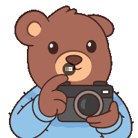 a brown teddy bear is holding a camera in its paws