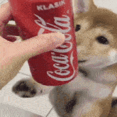 Coke Drink GIF - Coke Drink Lick GIFs