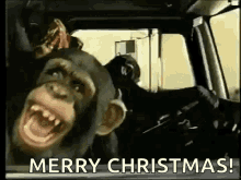 Monkey Merry Christmas GIF - Monkey Merry Christmas GIFs