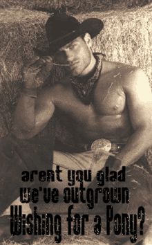 Cowboy Arent You Glad GIF