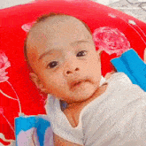 a baby is laying on a red pillow with pink flowers on it
