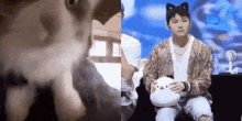 Matrizonn Woozi GIF - Matrizonn Woozi Cat GIFs