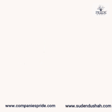 Sudendu Sudendu Shah GIF - Sudendu Sudendu Shah Companiespride GIFs