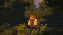 a minecraft character is standing in a field with trees