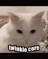 a white cat with the words twinkle core on the bottom