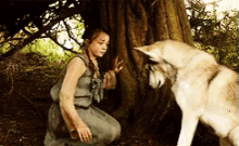 Arya Higs Dire Wolf GIF - Game Of Thrones Got Arya GIFs