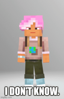 a minecraft character with pink hair and the words i don t know