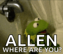 a kermit the frog in a bathtub with the words allen where are you written above him