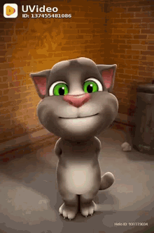 Talking Tom Cat GIF - Talking Tom Cat Talking GIFs
