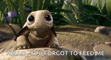 a turtle is sitting on a rock and says hello , you forgot to feed me