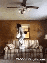Couch Jumping Corgi GIF - Couch Jumping Corgi Fursuit GIFs
