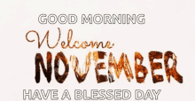 Welcome November November1st GIF - Welcome November November1st GIFs