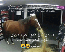 a picture of a horse vomiting in a store with arabic writing