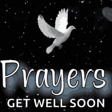 Get Well Soon Prayers GIF - Get Well Soon Prayers Doves GIFs