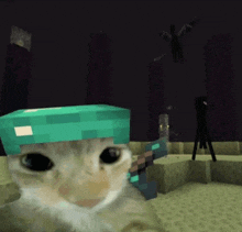 a cat wearing a diamond helmet and holding a diamond sword in a minecraft game .