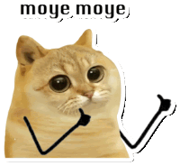 Catcoin Cat Meme Sticker