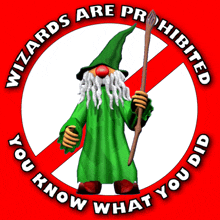 Wizards Are Prohibited You Know What You Did GIF