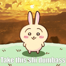 a cartoon of a rabbit with the words take this shi dumbass