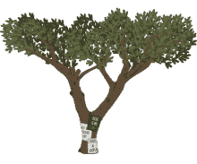 tree tree