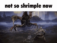 Not So Shrimple Now Shrimple GIF - Not So Shrimple Now Shrimple GIFs