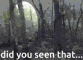 a picture of a forest with the words " did you seen that "