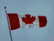 Canada Flag GIF - Canada Day Flag Country GIFs