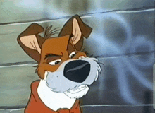Dodger Oliver And Company GIF