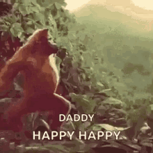 monkey ape dance dancing orangutan