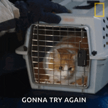 a cat in a cage with the words " gonna try again " below it