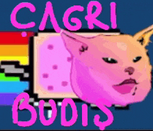 Cagri Budiş çağrı Budiş GIF - Cagri Budiş çağrı Budiş Kedi çağrı GIFs