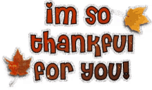 you thankful