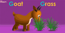 G For Goat Goat GIF - G For Goat Goat Grass GIFs