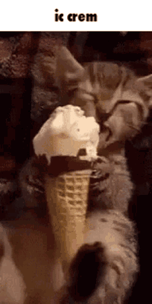 Cat Ice Cream GIF - Cat Ice Cream Licking Ice Cream Cone GIFs