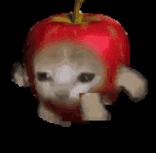 GIF