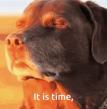 a picture of a dog with the words it is time