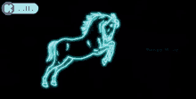 Horse Horse Radium GIF