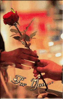 For You Rose GIF - For You Rose Couple GIFs