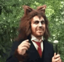 Red Riding Hood Roodkapje GIF - Red Riding Hood Roodkapje Big Bad Wolf GIFs