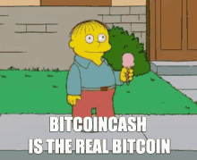 Bitcoin Cash Bch GIF - Bitcoin Cash Bch Bcash GIFs