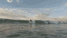 Surfing Red Bull GIF - Surfing Red Bull Balancing GIFs