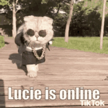 Lucie Is Online Lucie GIF - Lucie Is Online Lucie Lucie Gang GIFs
