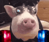 Pig Piggy GIF - Pig Piggy Police GIFs