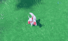 Zangoose Pokemon GIF