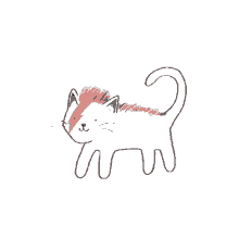 bowie cat