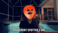 Emz Emzberry GIF - Emz Emzberry Sonic GIFs