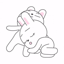 white rabbit couple sleeping cuddle