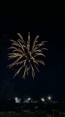 Fireworks Congratulations GIF - Fireworks Congratulations Happy Birthday GIFs