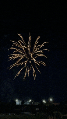 Fireworks Congratulations GIF