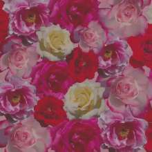 Kratu Heart GIF - Kratu Heart Roses GIFs