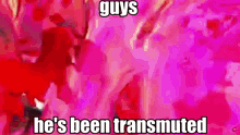 a pink background with the words guys he 's been transmitted